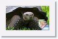 6c Santa Cruz Tortoise Highlands * (29 Slides)